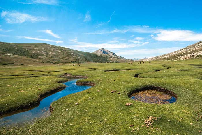 Parc naturel régional de Corse - crédit : Pixabay